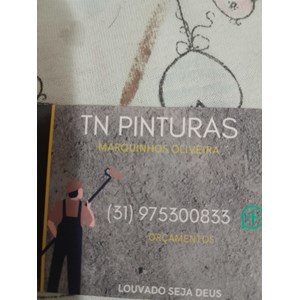 TN PINTURAS